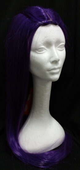 Long Pageboy no bangs   Dark Purple