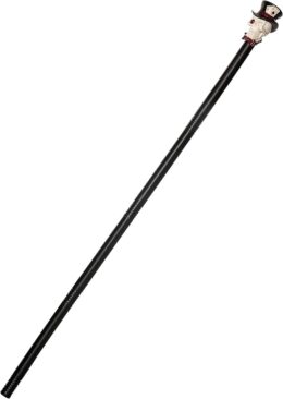 Skull Cane with Top Hat