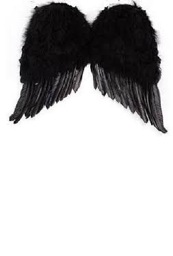 31 Inch Angel Feather Wings| Black