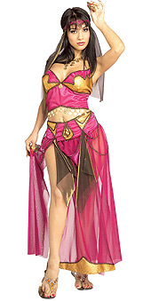 Salome Standard