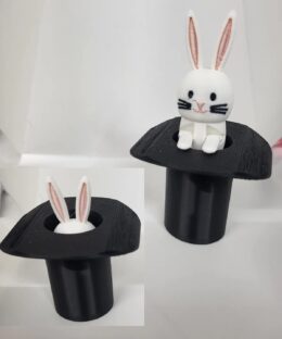 Appearing Bunny