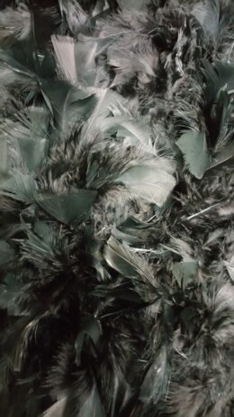 Boa  Fur Black and Purple