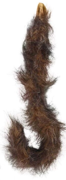 Brown Animal Tail
