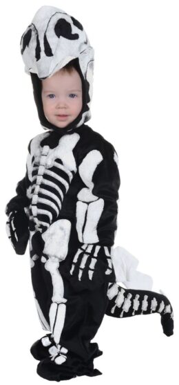 Stegosaurus Fossil | Infant Small