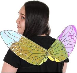 Holographic Bee Wings