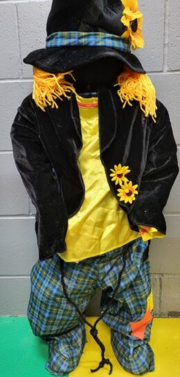Harvest Scarecrow | Child Small