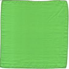 Silk 9 Inch | Lime Green