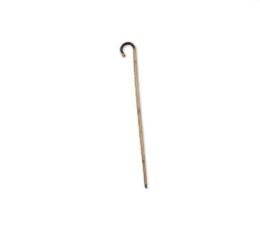Bamboo Cane