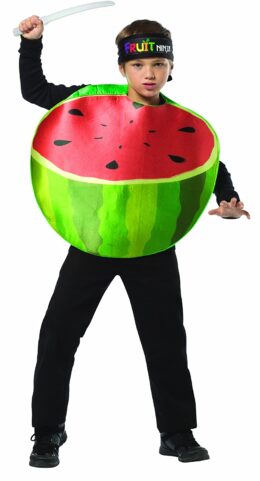 Fruit Ninja Watermelon