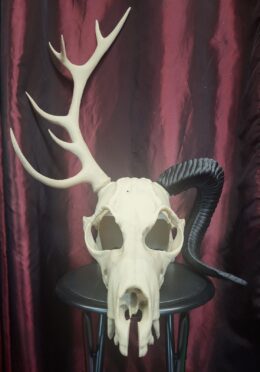 Wendigo Set | Small