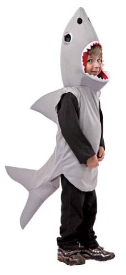 Sand Shark Small