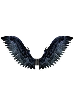 Raven Cosplay Wings